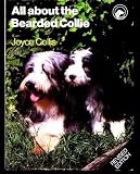 All About the Bearded Collie