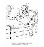 [(Big Book of Horses to Color )] [Author: John Green] [Feb-2007]