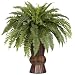 Boston Fern w/Bamboo Vase Silk Plant