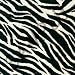 Black and White Zebra Print - Set Of 8 Coasters - Soft image 3