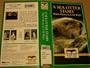 Nature:Sea Otter Story [VHS]