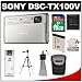 Sony Cyber-Shot DSC-TX100V 16.2 MP Digital Camera (Silver) with 16GB Card + Battery + Case + Tripod + Accessory Kit