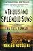 A Thousand Splendid...