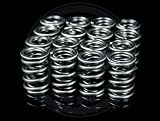 Skunk2 311-05-0380 Tuner Series Valve Springs