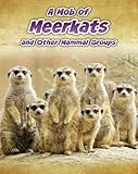 A mob of meerkats and other mammal groups