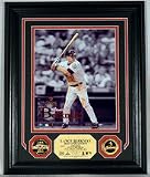 Lance Berkman Framed 8 x 10 Photograph and Medallion Set from The Highland Mint