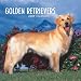Golden Retrievers 2009 Wall Calendar 12" X 12"