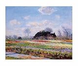 Posters: Claude Monet Poster Art Print - Tulip Field At Sassenheim (32 x 24 inches)