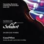 Notes on Schubert: 20 Crucial Works