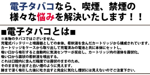 Cover image : 送料無料！【国内初の3電源方式！】 電子タバコ 【ラビン ヘルススモーカー】ニコチン0%