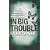 In Big Trouble (A Tess Monaghan Investigation)