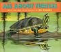 All About Turtles