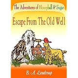 Escape From the Old Well (The Adventures of Honeyball & Sugar)