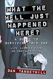 img - for What the Hell Just Happened Here?: A Guide to Surviving Your 20s: Lessons From an Underachiever book / textbook / text book