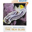Down in the Sea: The Sea Slug (Down in the Sea) (Down in the Sea)