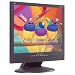 Viewsonic VG510B 15-Zoll TFT-Monitor (DVI; schwarz)