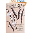 Seabirds: An Identification Guide