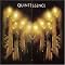 Quintessence by Quintessence