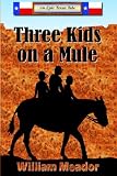Three Kids On A Mule