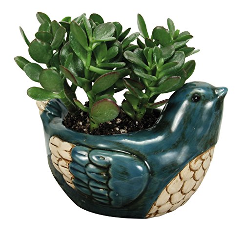 Nature's Garden Porcelain Bluebird Planter