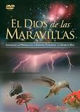 El Dios de las Maravillas