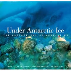 Under Antarctic Ice: The Photographs of Norbert Wu