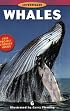 Whales (Investigate Series)
