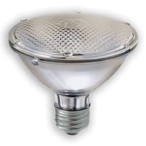 GE Lamps 14779 75-Watt PAR30 Edison Halogen Floodlight
