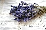 ~Coco Heart~　富良野産　ラベンダー　　（木の実・ドライフラワー）