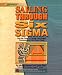 Books : Sailing Through Six Sigma - Book & CD Set