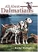 All About Dalmatians