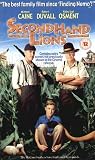 The Secondhand Lions [VHS] [UK Import]