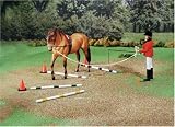 Ground Training Set