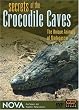 NOVA: Secrets of the Crocodile Caves