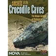 NOVA: Secrets of the Crocodile Caves