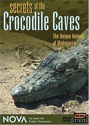 NOVA: Secrets of the Crocodile Caves