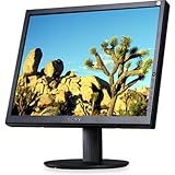 Sony SDM-S204/B 20.1 LCD Monitor