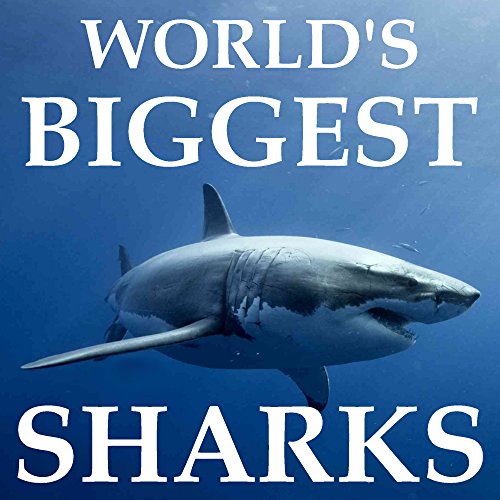 Children's Book: World's Biggest Sharks: [Shark Books] [Sharks for Kids] [Shark Facts Book]