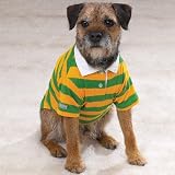 Casual Canine Rugby Polos - Green and Gold X Small