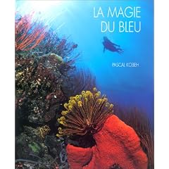 La Magie du bleu