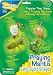 Insect Lore Praying Mantis Life Cycle Stages