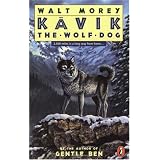 Kavik the Wolf Dog