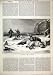 1880 Bear Hunting Polar Regions Snow Men Gun Dead Ice