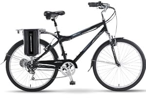 Currie Technologies Men's eZip Trailz Commuter SLA Electric Bicycle, 17-Inch / One Size