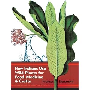How Indians Use Wild Plants for Food, Medicine & Crafts (Native American)