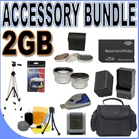 BigVALUEInc Accessory Saver 2GB FH100 Replacement Compatible Battery/Rapid Charger Filter Kit Tele/Wide Lens Bundle for Sony Handycam HDD 30mm Hard Disk Drive Camcorders + MORE!