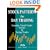 Stock Patterns for Day Trading