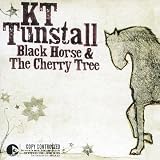 Black Horse & the Cherry Tree