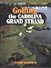 Book Golfing The Carolina Grand Stand