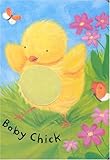 Baby chick